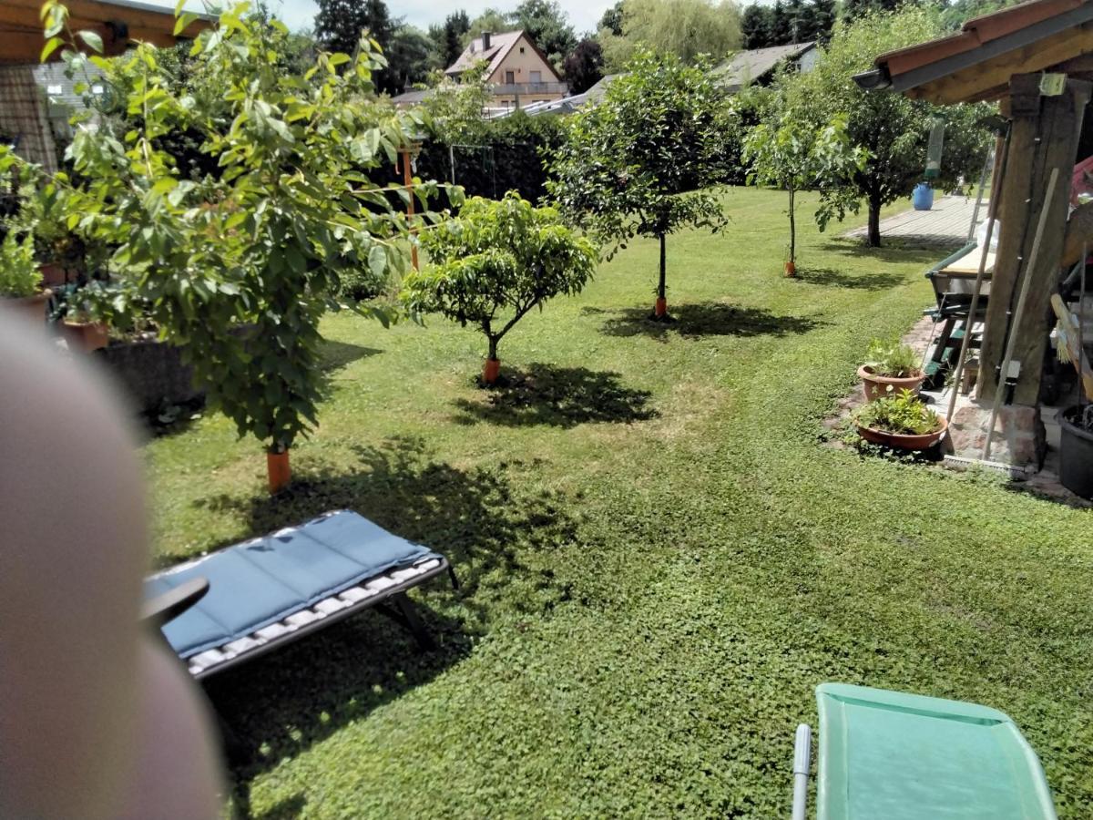 Fewo Jehle Sued Nord Rust Esterno foto